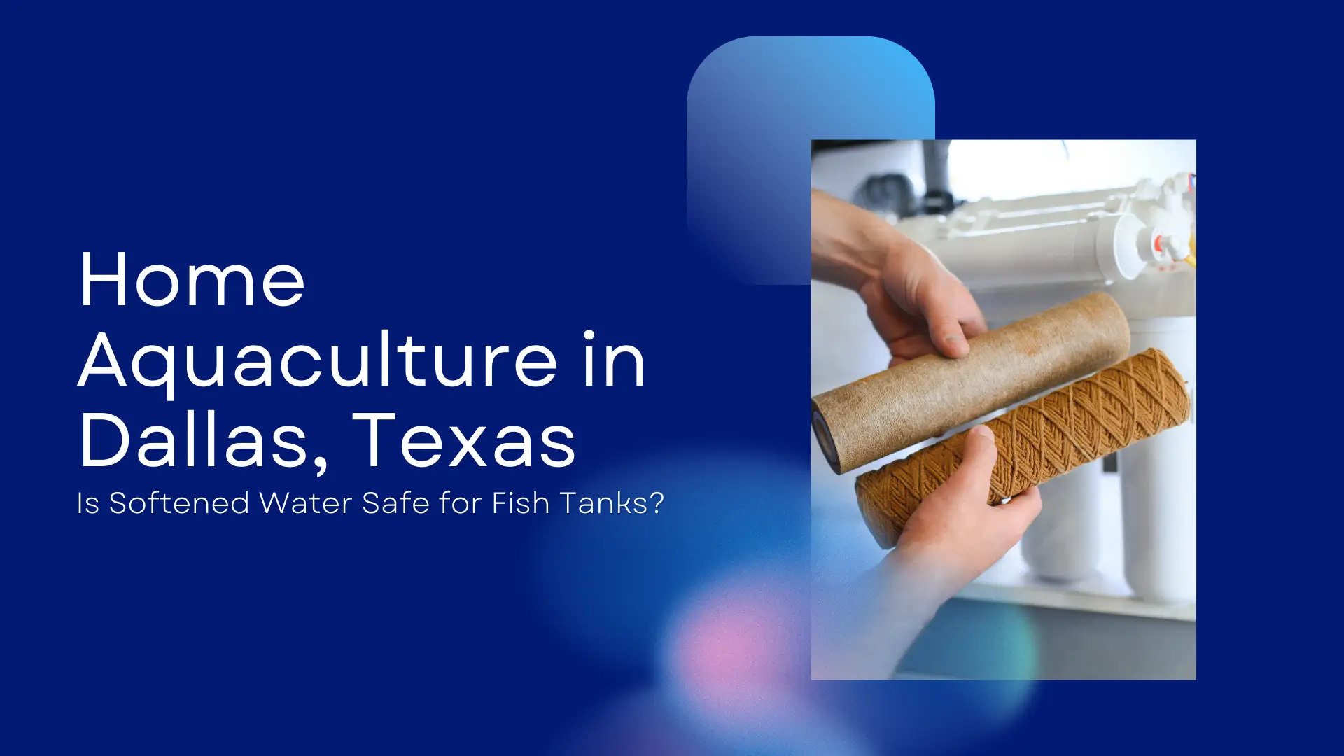 A vibrant guide banner titled "Home Aquaculture in Dallas, Texas: Is Softened Water Safe for Fish Tanks?" featuring a dark blue background with soft, glowing pink and blue bokeh light effects. The right side contains a vertical inset photo of a person’s hands holding two heavily used, brown-stained sediment filter cartridges—one smooth and one string-wound—demonstrating the debris removed from local water. In the background of the photo, the white canisters of a water treatment system are visible. The design uses clean, white sans-serif text to highlight the local Dallas-specific context for aquarium enthusiasts.