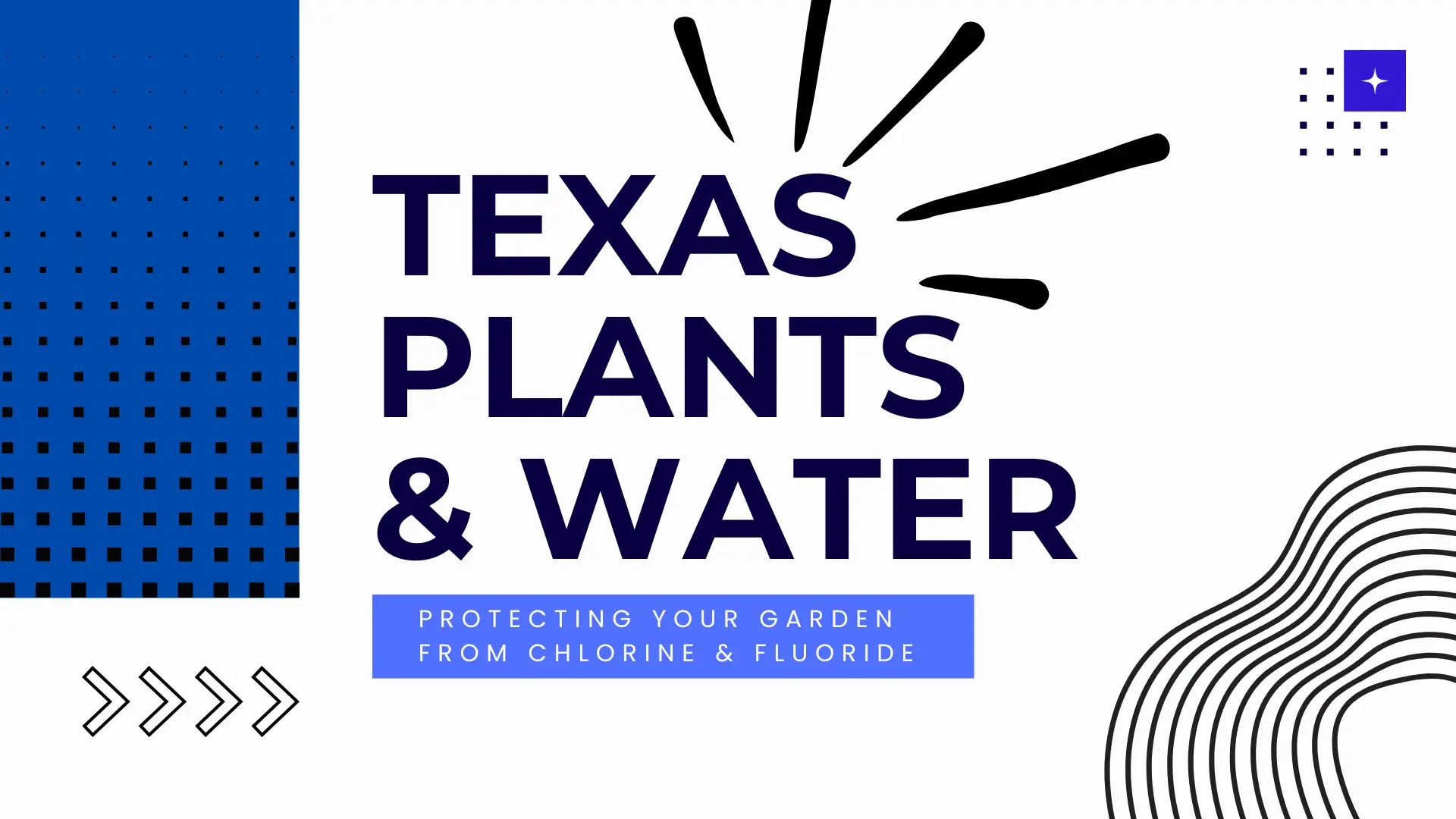 "TEXAS PLANTS & WATER: Protecting your garden from chlorine & fluoride." The design features a modern, geometric aesthetic with a white background, a bold blue perforated panel on the left, and abstract black wavy lines on the bottom right. Centered navy blue text is topped with a hand-drawn sunburst icon, while a blue sub-banner at the bottom contains the secondary text. Small decorative elements include four black arrows and a purple star icon in the corners.