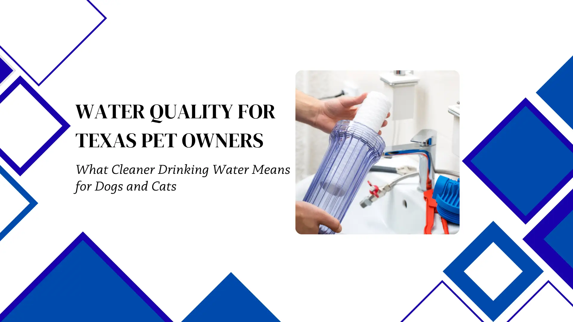 Informational banner displaying a close-up photo of hands changing a home water filter cartridge over a sink, framed by vibrant blue diamond graphics, with the headline "WATER QUALITY FOR TEXAS PET OWNERS: What Cleaner Drinking Water Means for Dogs and Cats".